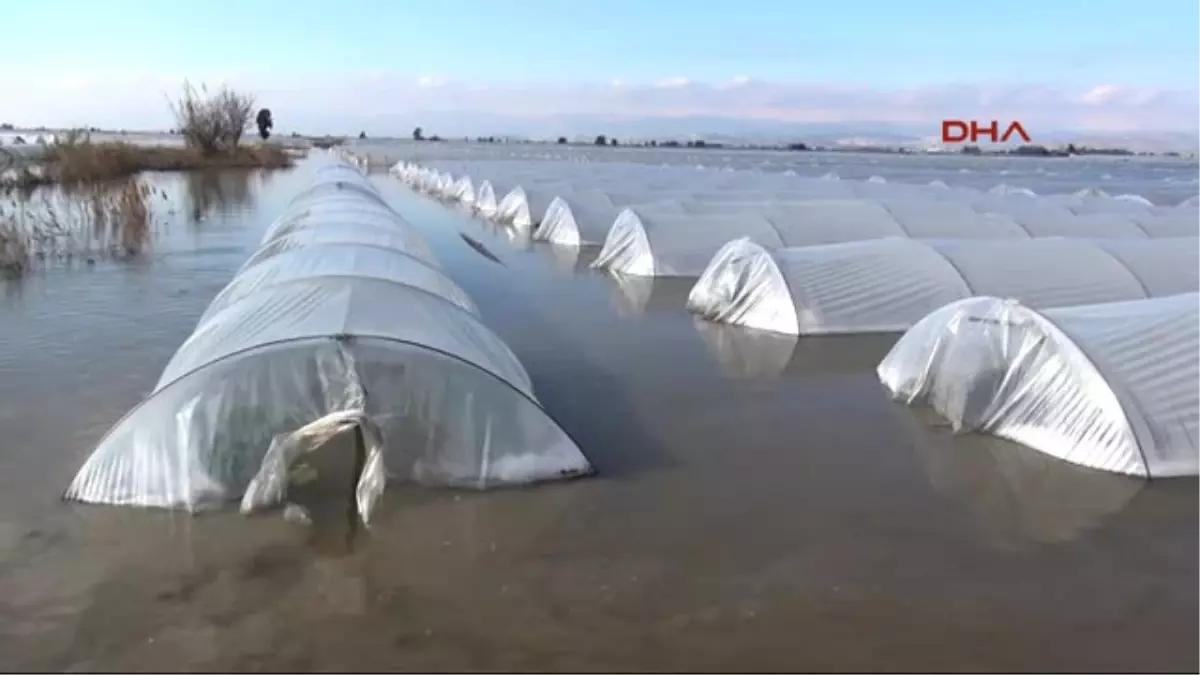 Mersin Sel Suları Altında Kalan Seralarda Sandallarla Hasat