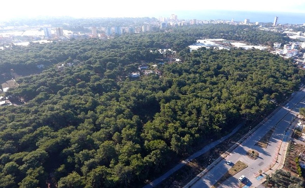 Muratpaşa Belediyesi\'nden Obruk Ormanı İmar Planı Çalışması