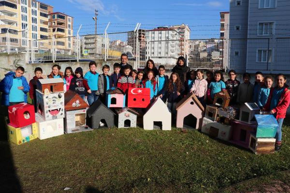 Öğrenciler Sokak Kedileri İçin Ev Yaptı