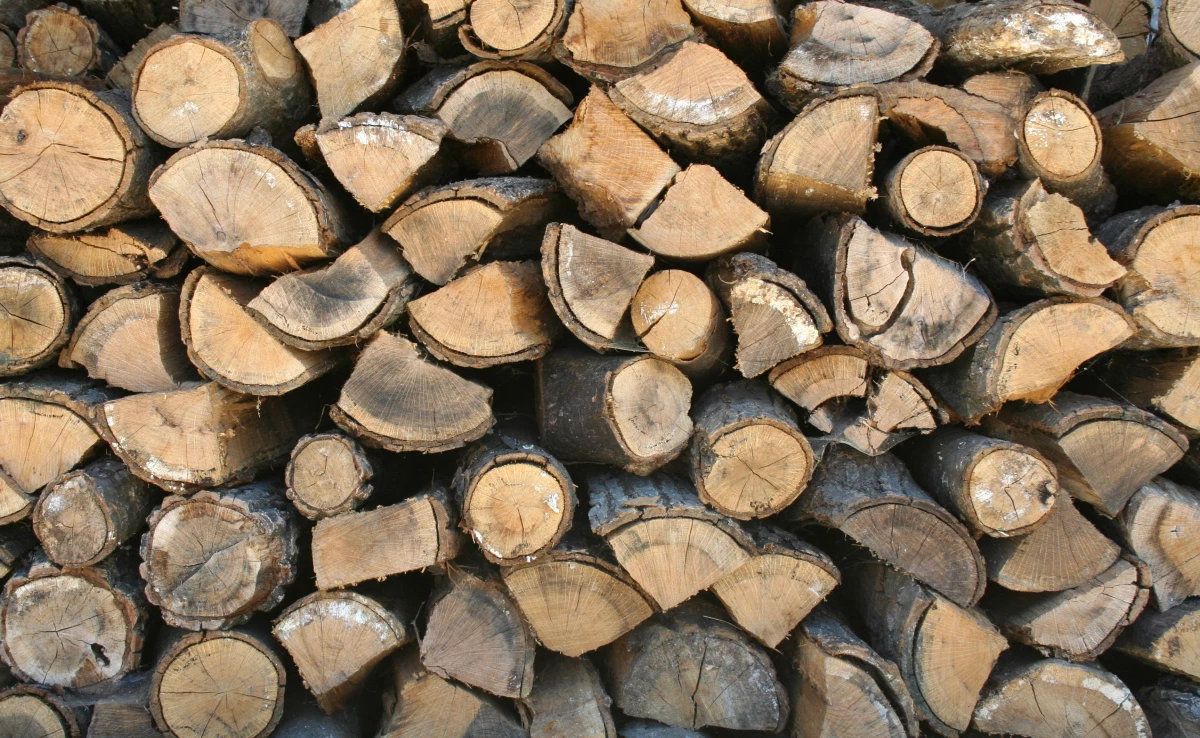 83 Yaşında Her Gün Tonlarca Odun Kırıyor