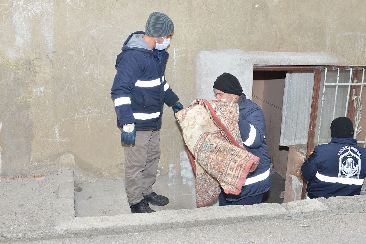 Sahipsiz Kedilere Yıldırım Şefkati
