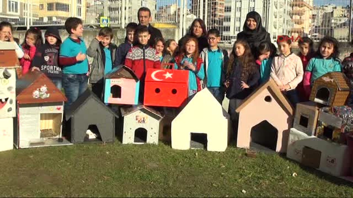 Samsun Öğrenciler Sokak Kedileri Için Ev Yaptı