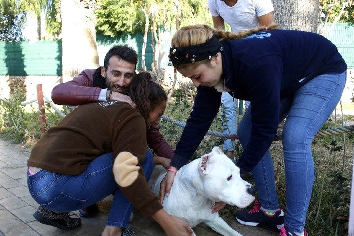 Yangından Kurtardığı Köpeğine Gözyaşlarıyla Sarıldı