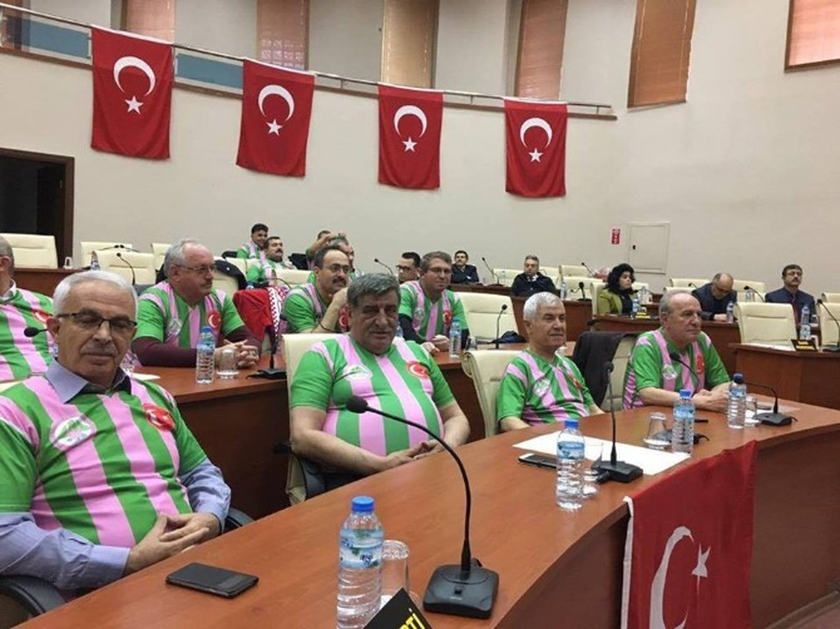 Yeşil Pembe Meclis