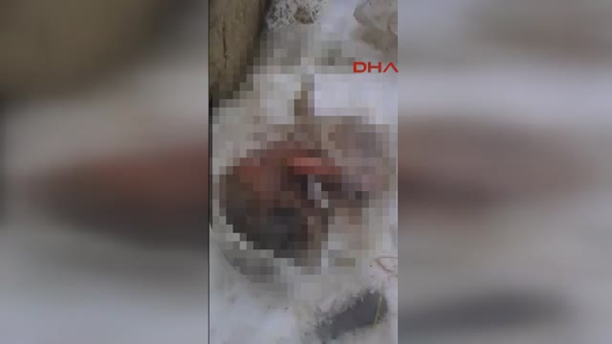 Başkentte Poşet Içerisinde Yeni Doğmuş Bebek Cesedi Bulundu