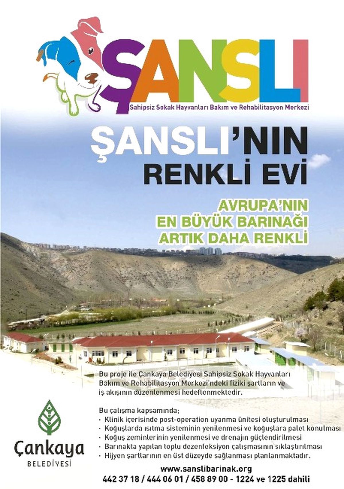 Çankaya Belediyesi Bin 473 Sokak Hayvanını Sahiplendirdi