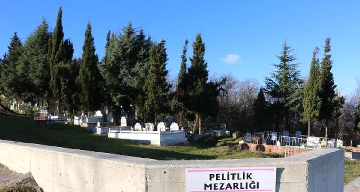 Orman Alanını \'Kaçak Mezarlık\' Yapıp Parsel Parsel Sattılar
