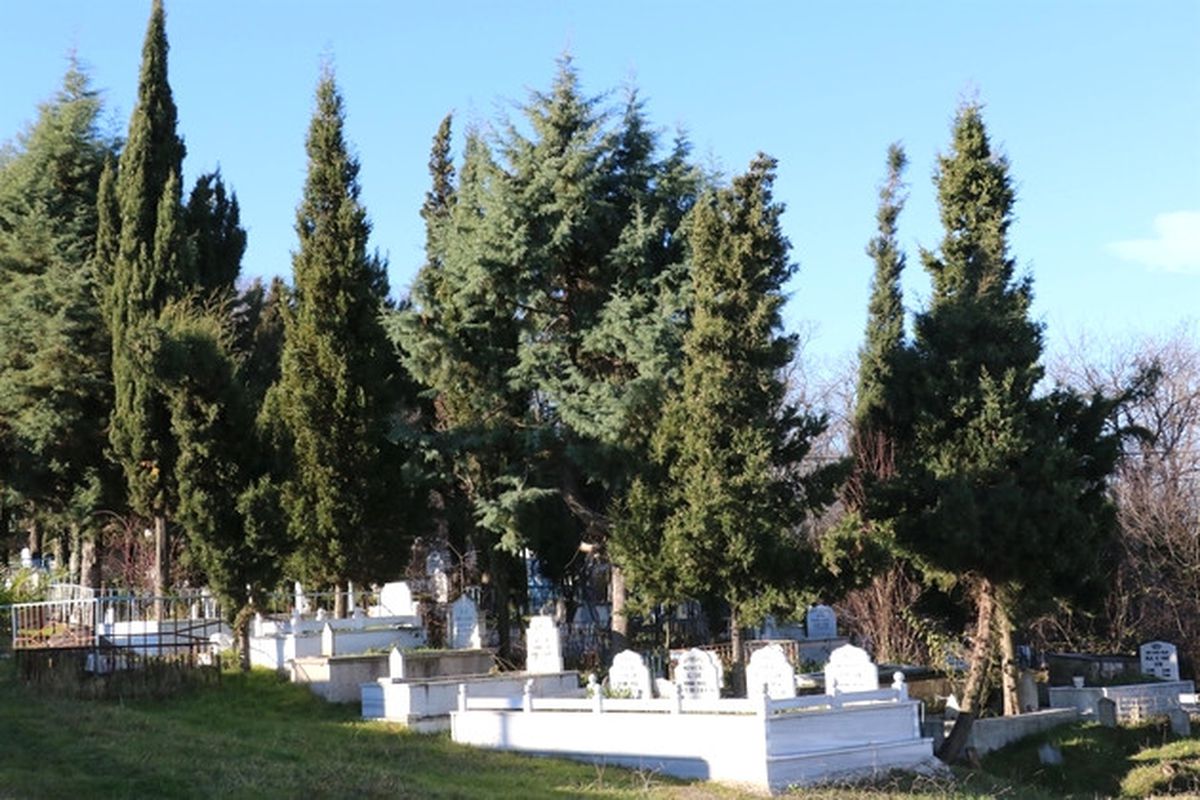 Orman Alanını \'Kaçak Mezarlık\' Yapıp Parsel Parsel Sattılar
