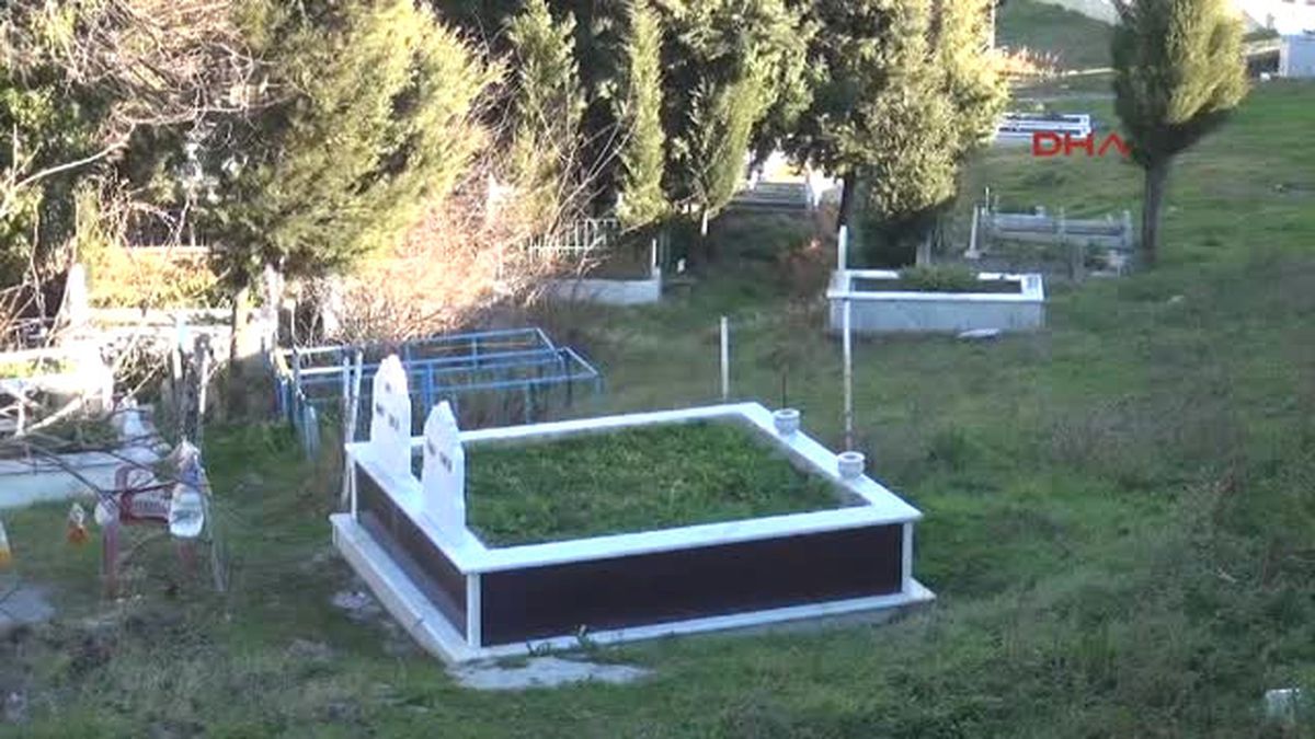 Samsun Orman Alanını \'Kaçak Mezarlık\' Yapıp Parsel Parsel Sattılar