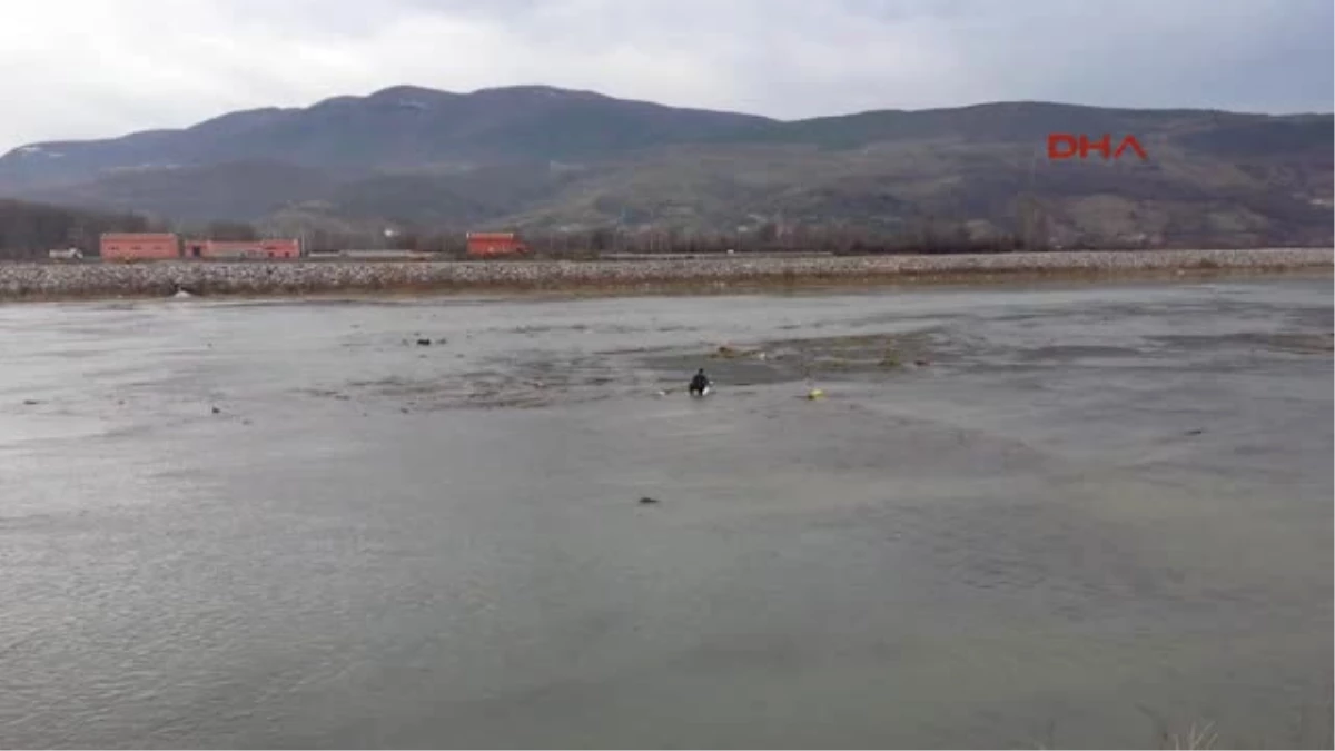 Zonguldak Avcıların Vurduğu Kuğu Kurtarılamadı