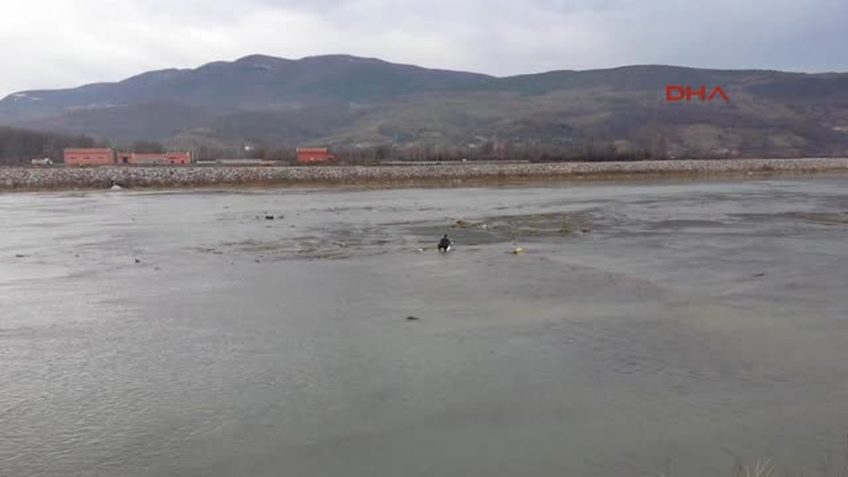 Zonguldak Avcıların Vurduğu Kuğu Kurtarılamadı