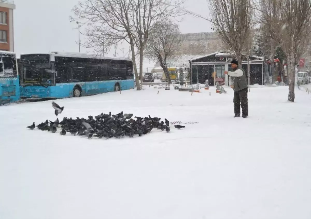 Karda Yem Bulamayan Kuşların Yardımına Vatandaş Koştu