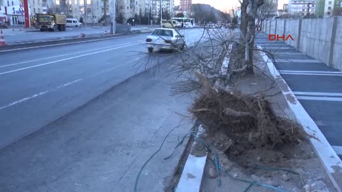 Kayseri\'de Lodos Ağaçları Devirdi, Reklam Panolarını Uçurdu