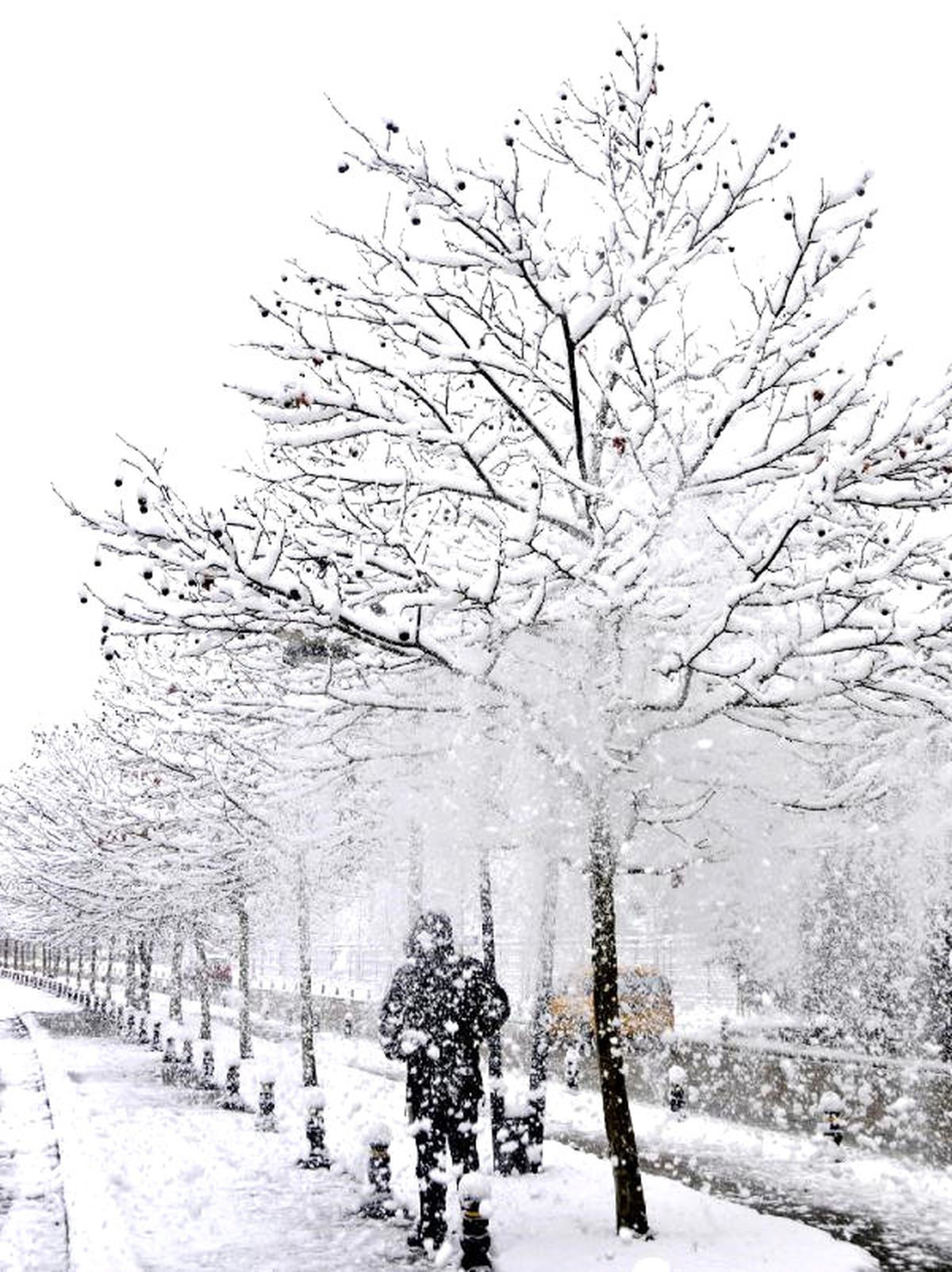Kocaeli\'nde Her Yer Beyaz