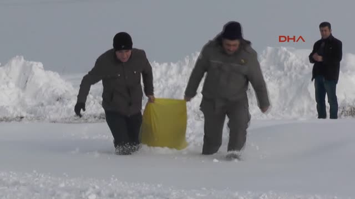 Muş Yaban Hayata Yiyecek Bıraktılar