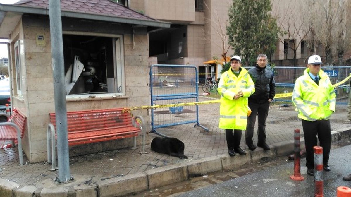Şehit Sekin\'in Köpeği Olay Yerinden Ayrılmadı, Herkes Duygulandı