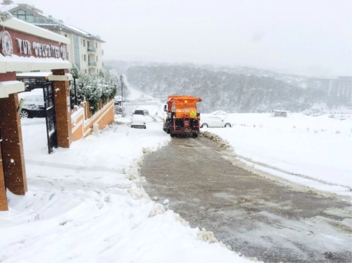 Tuzla Belediyesi, Karla Mücadele Çalışmalarını Aralıksız Sürdürüyor