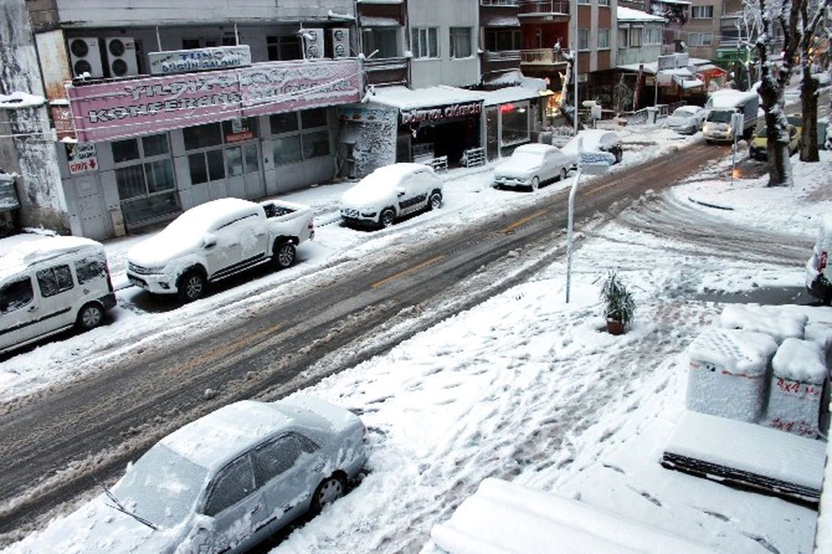 Yalova\'da Kar Esareti