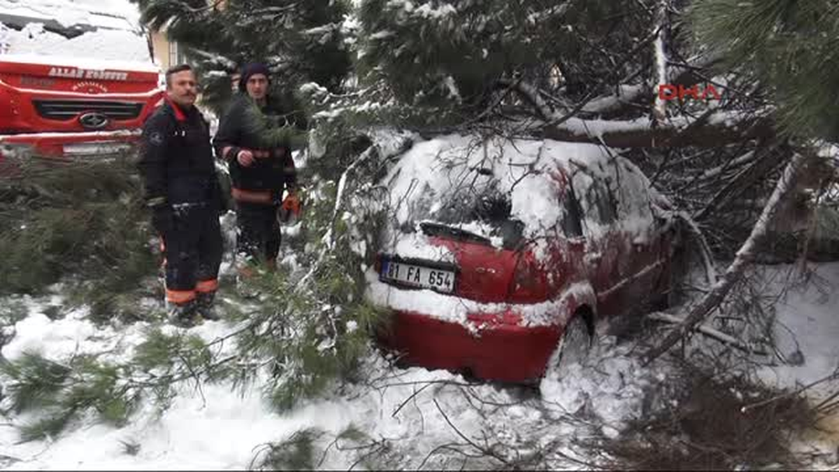 Ağaç Park Halindeki Otomobilin Üstüne Devrildi