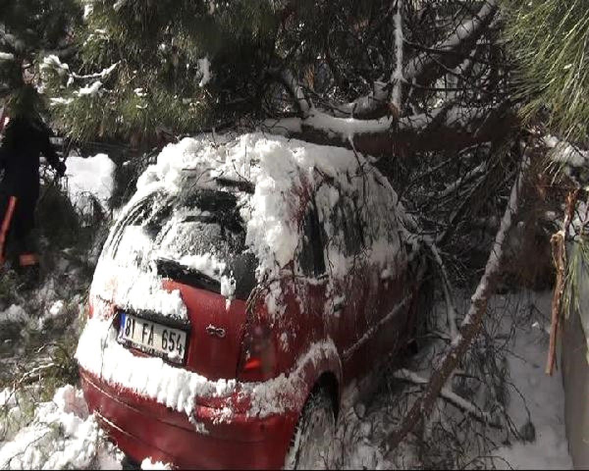 Ağaç Park Halindeki Otomobilin Üstüne Devrildi