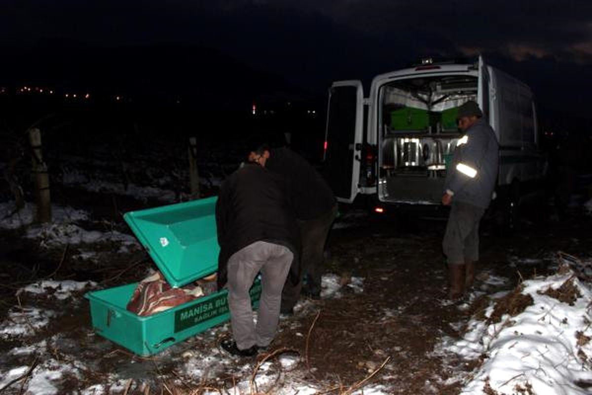 Demiryolu Kenarında Ölü Bulundu