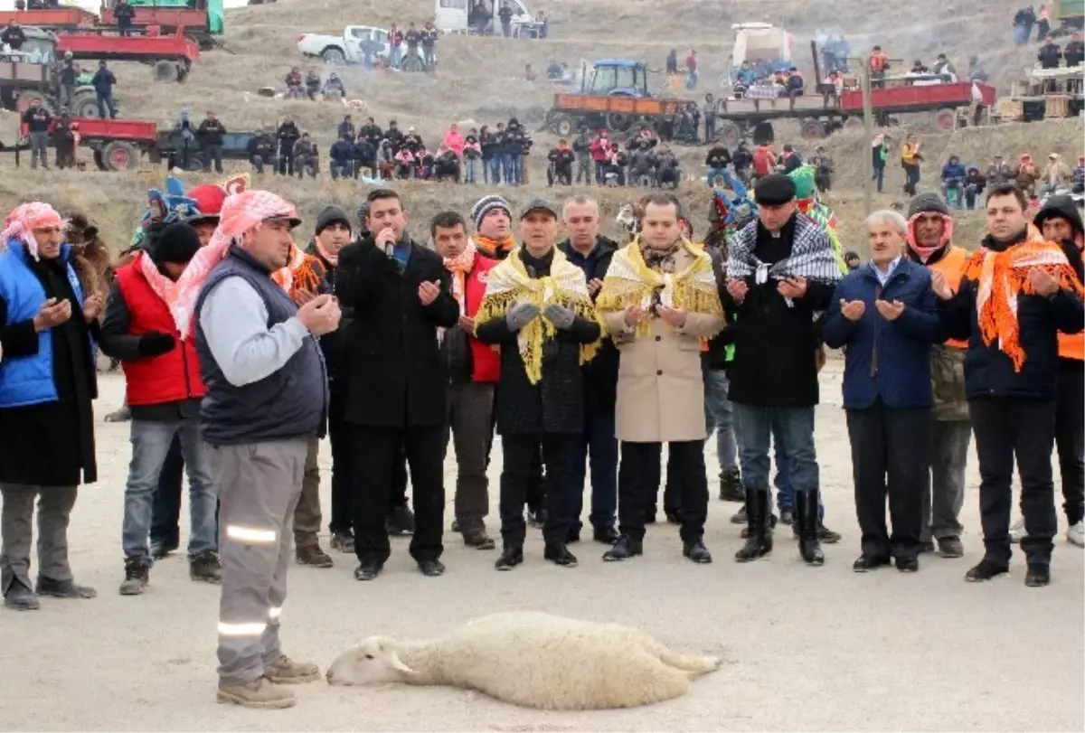 Denizli\'de 33\'üncü Deve Güreşleri Festivali