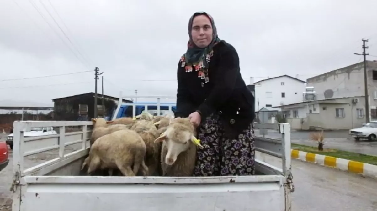 Devlet Desteği ile İş Kadını Oldu