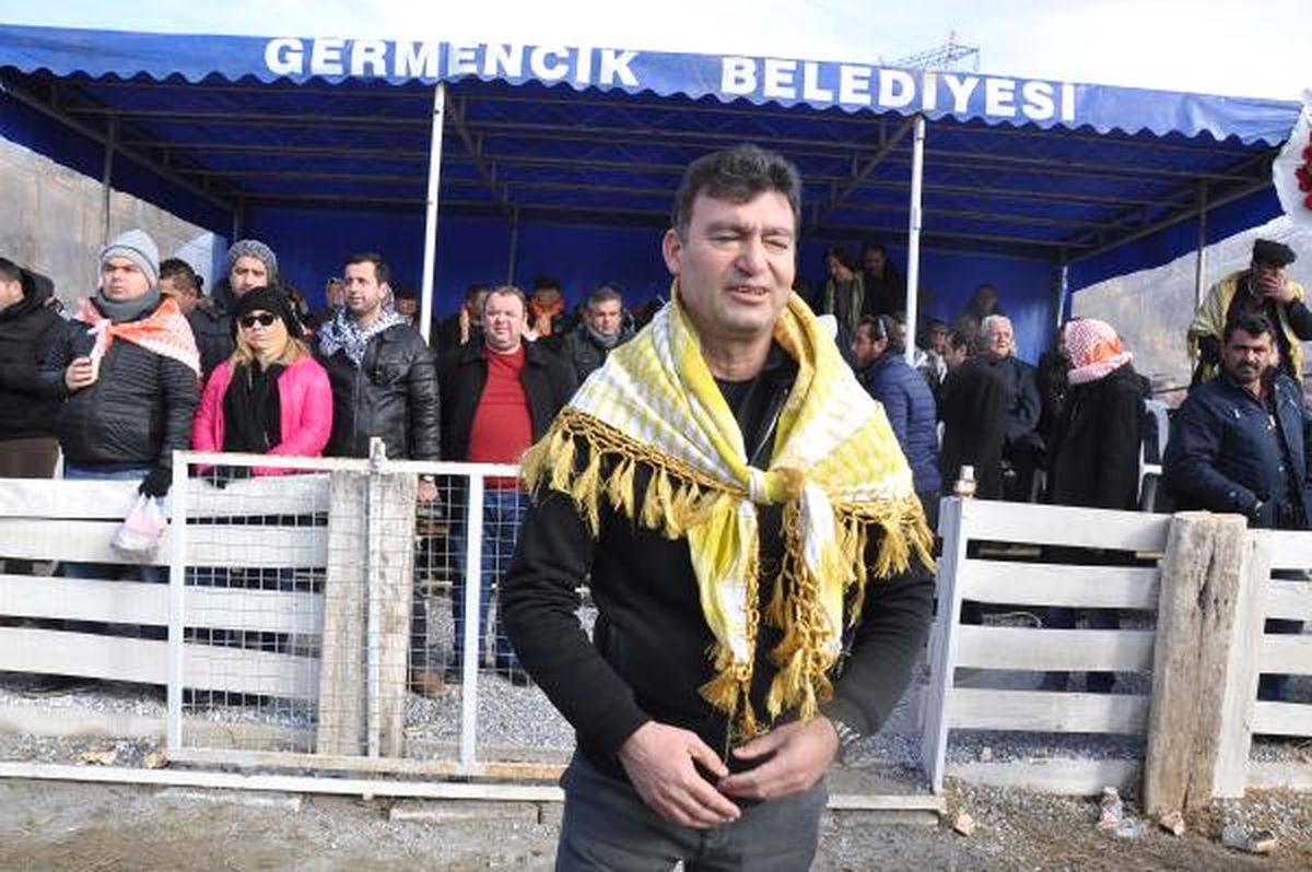 Germencik\'te Soğuk Havaya Rağmen Deve Güreşine Büyük İlgi