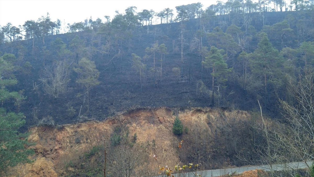 Güncelleme - Sürmene\'deki Orman Yangını Söndürüldü