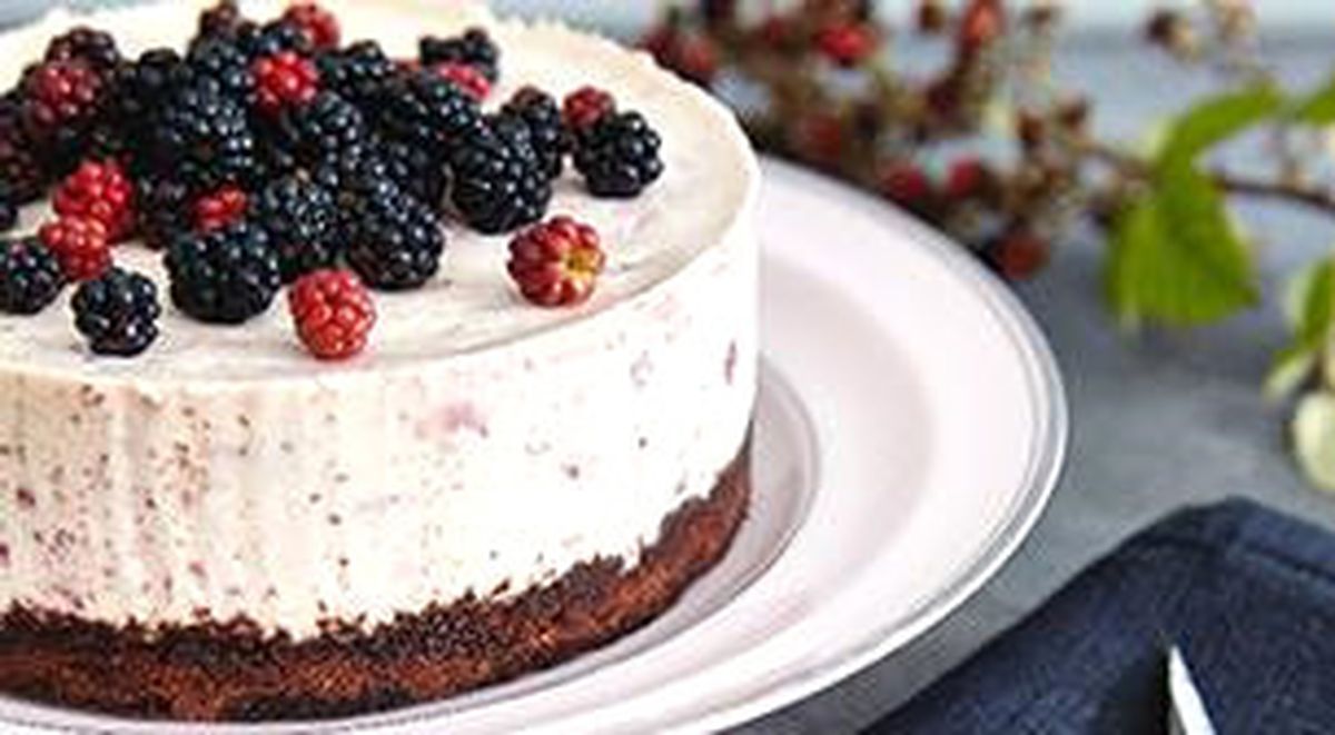 Msa- Cheesecake\'ler