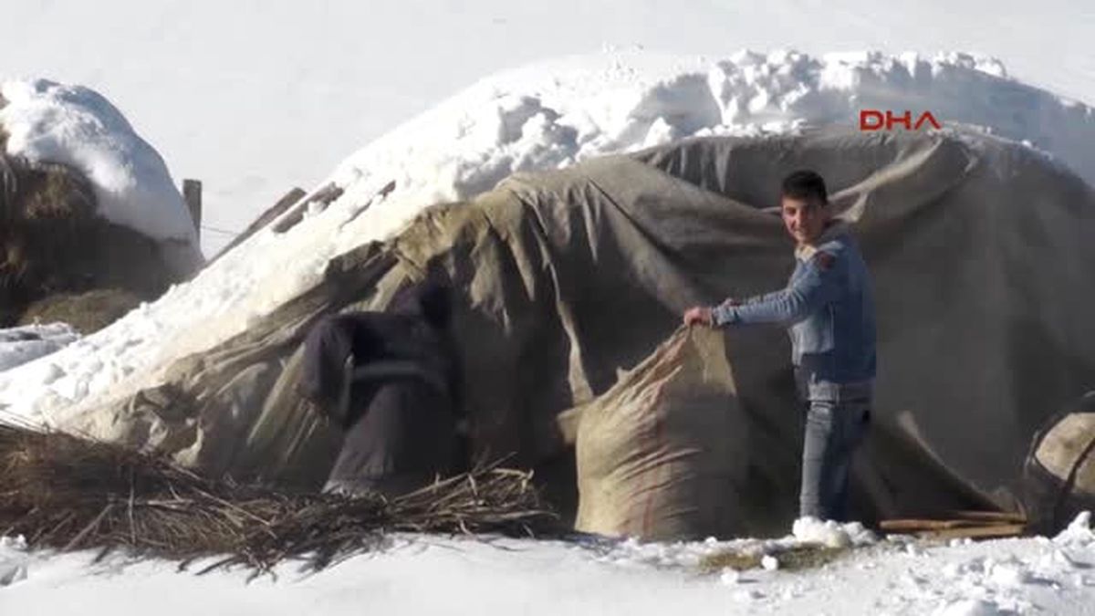 Muş\'ta Besicilerin Kış Çilesi