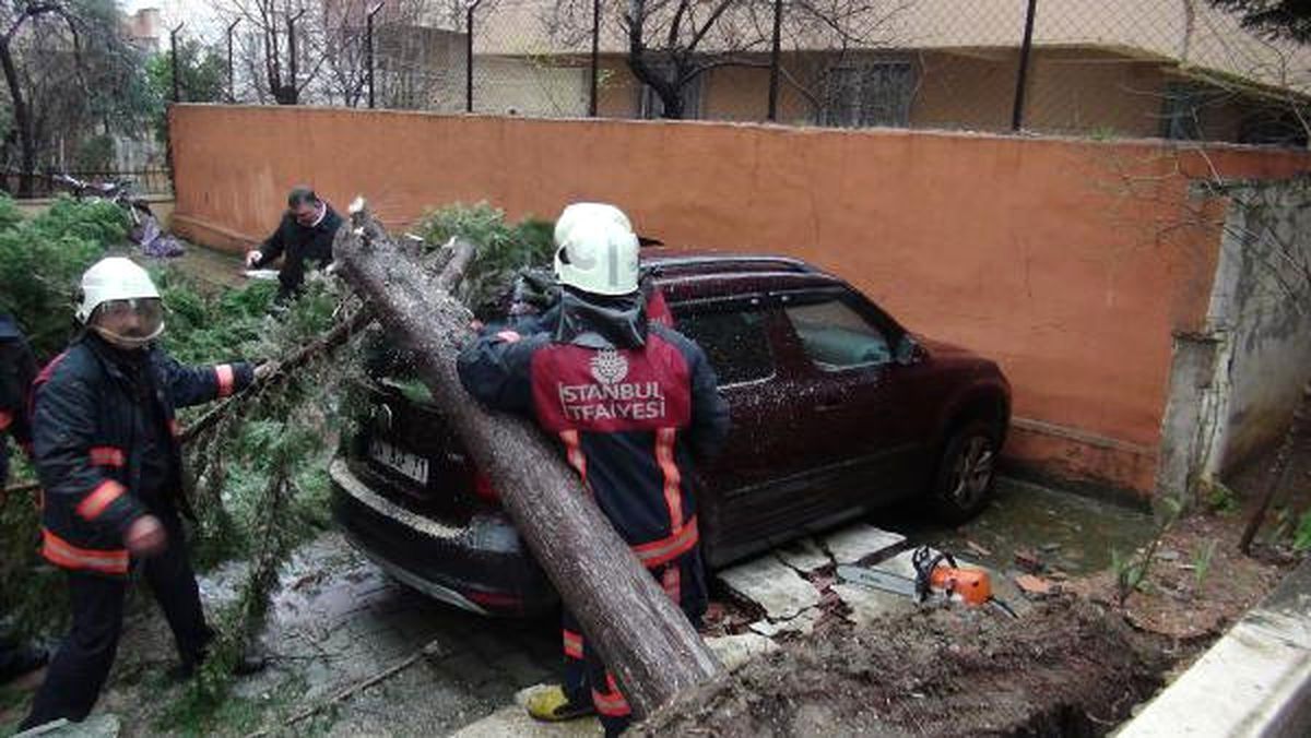 Park Halindeki Aracın Üstüne Ağaç Devrildi