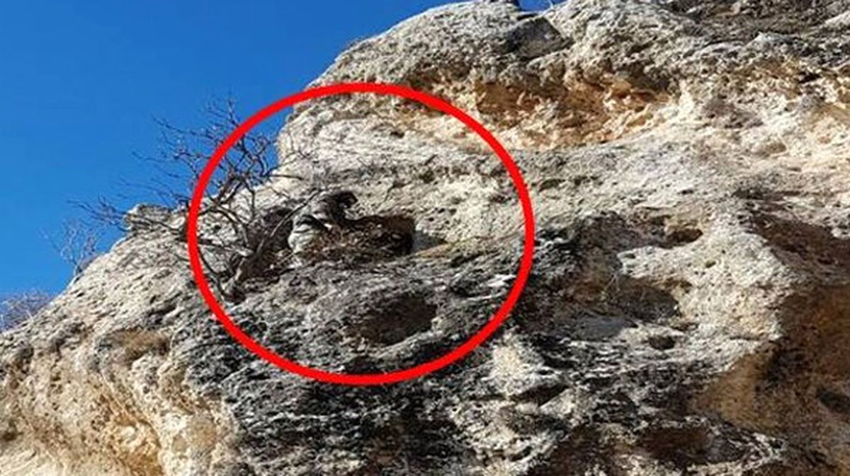 Asker, PKK'nın İnine Girdi