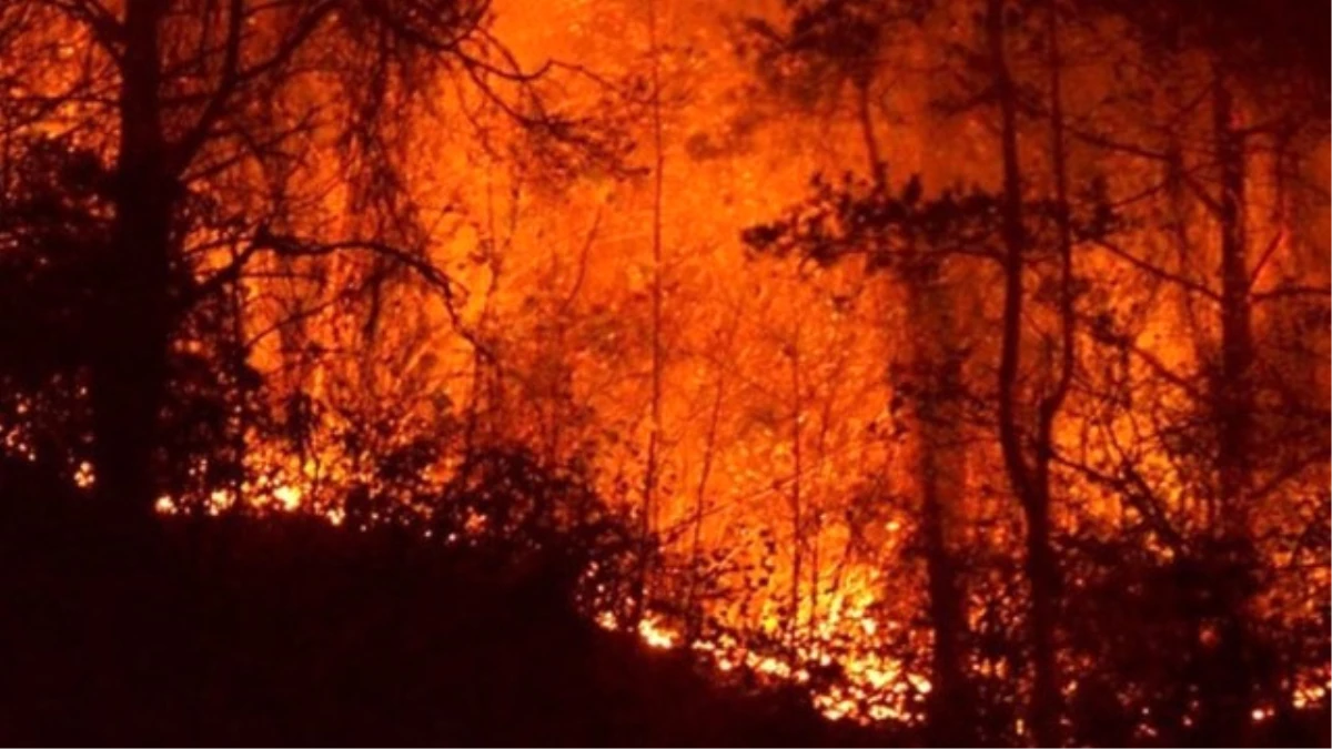 Sürmene\'deki Orman Yangını