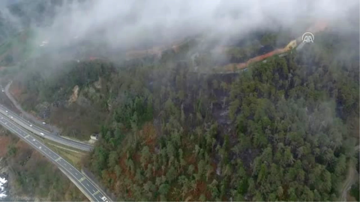 Sürmene\'deki Orman Yangını Havadan Görüntülendi