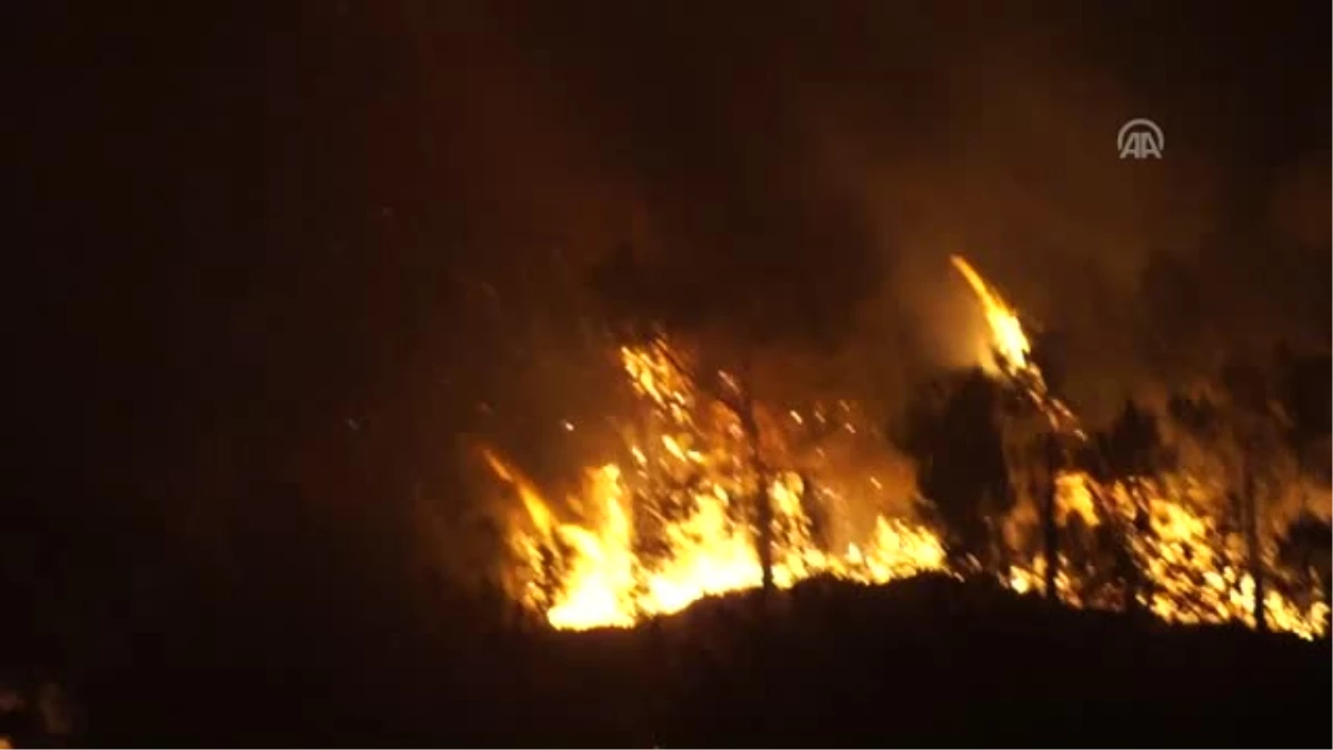 Sürmene\'deki Orman Yangını Kontrol Altına Alındı