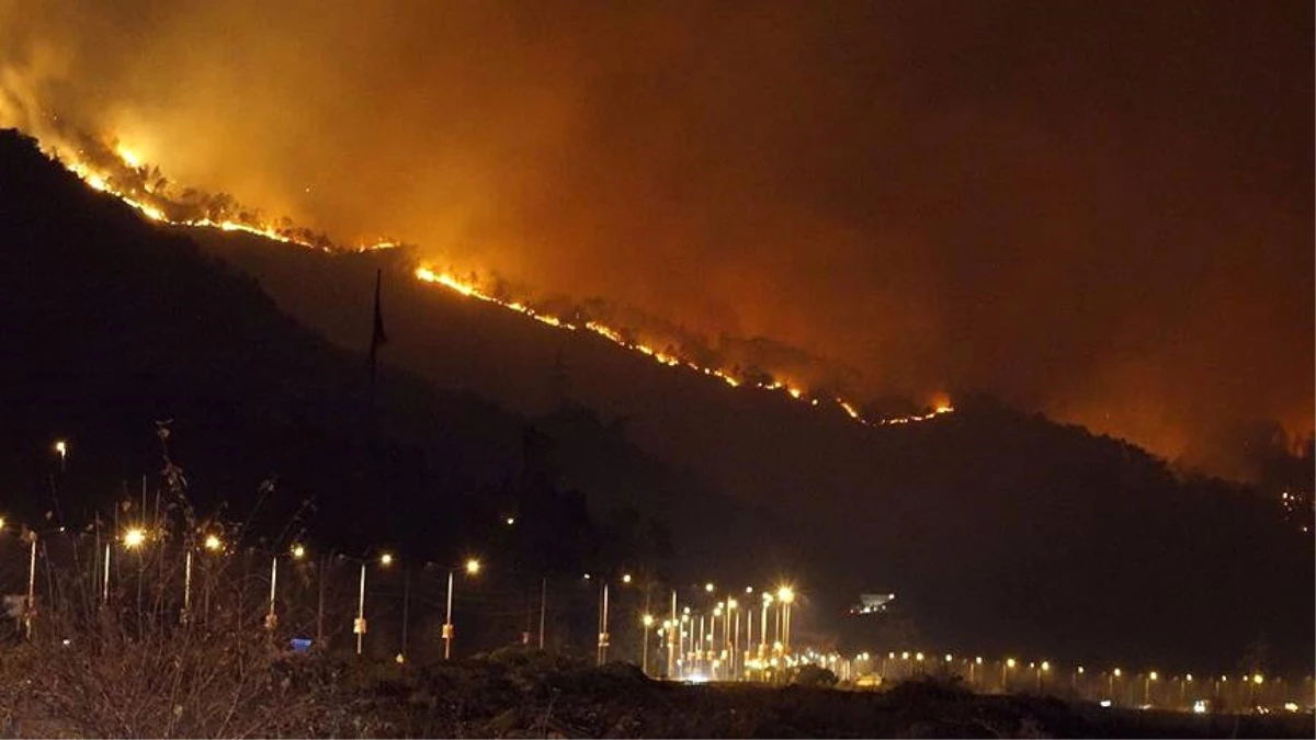 Sürmene\'deki Orman Yangını Kontrol Altına Alındı