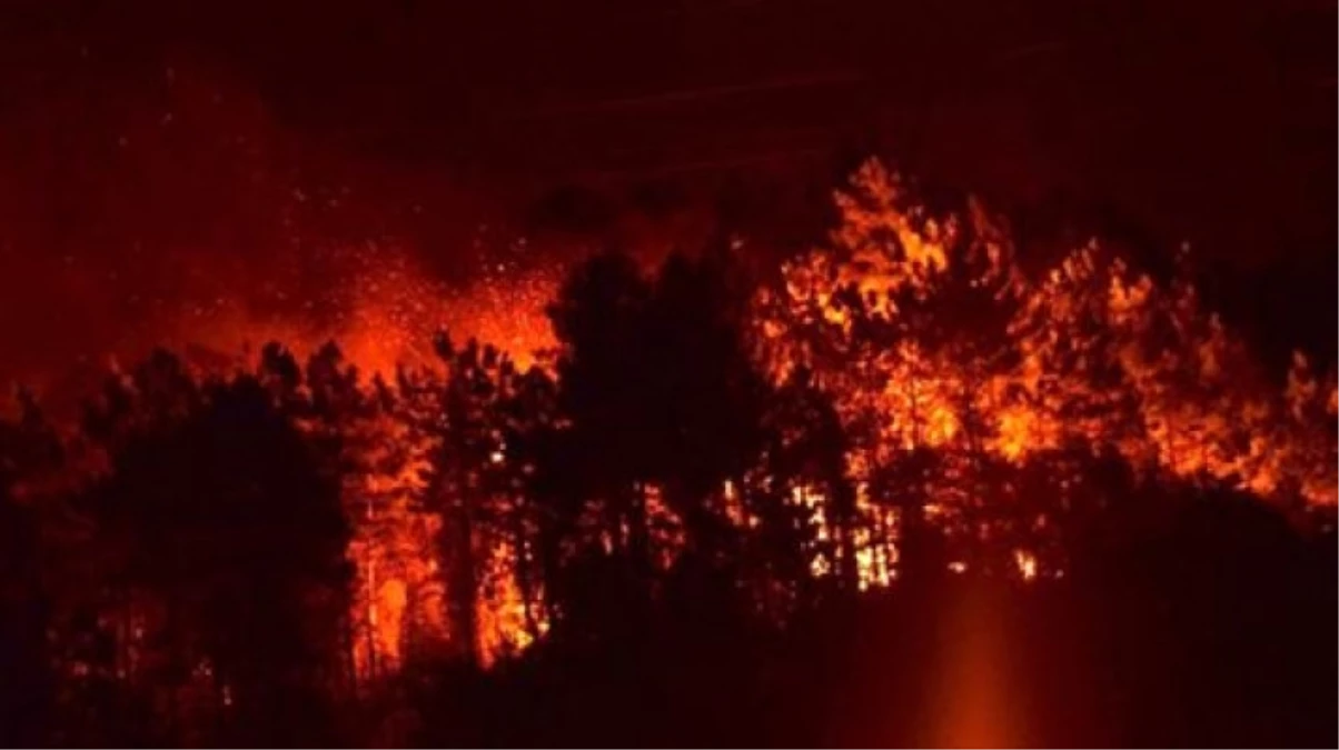 Sürmene\'deki Orman Yangını Söndürüldü