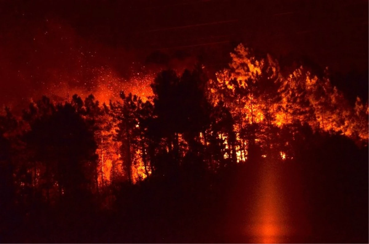 Trabzon\'da Orman Yangını