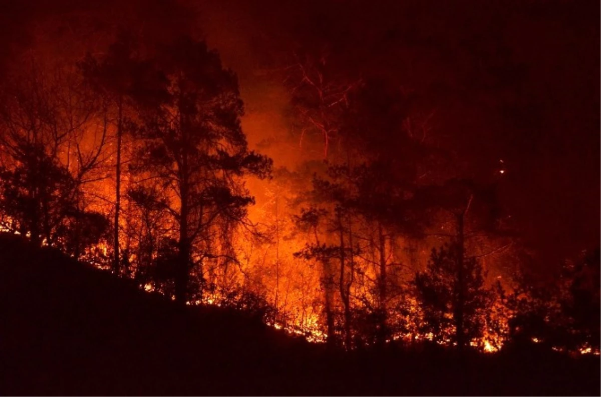 Trabzon Valisi Yücel Yavuz: "Yangında 15-20 Hektar Kadar Bir Alanın Etkilendiğini Düşünüyoruz"