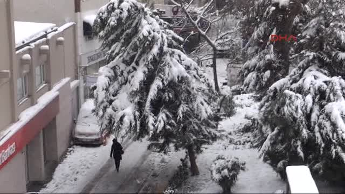 Yalova Beyaza Büründü