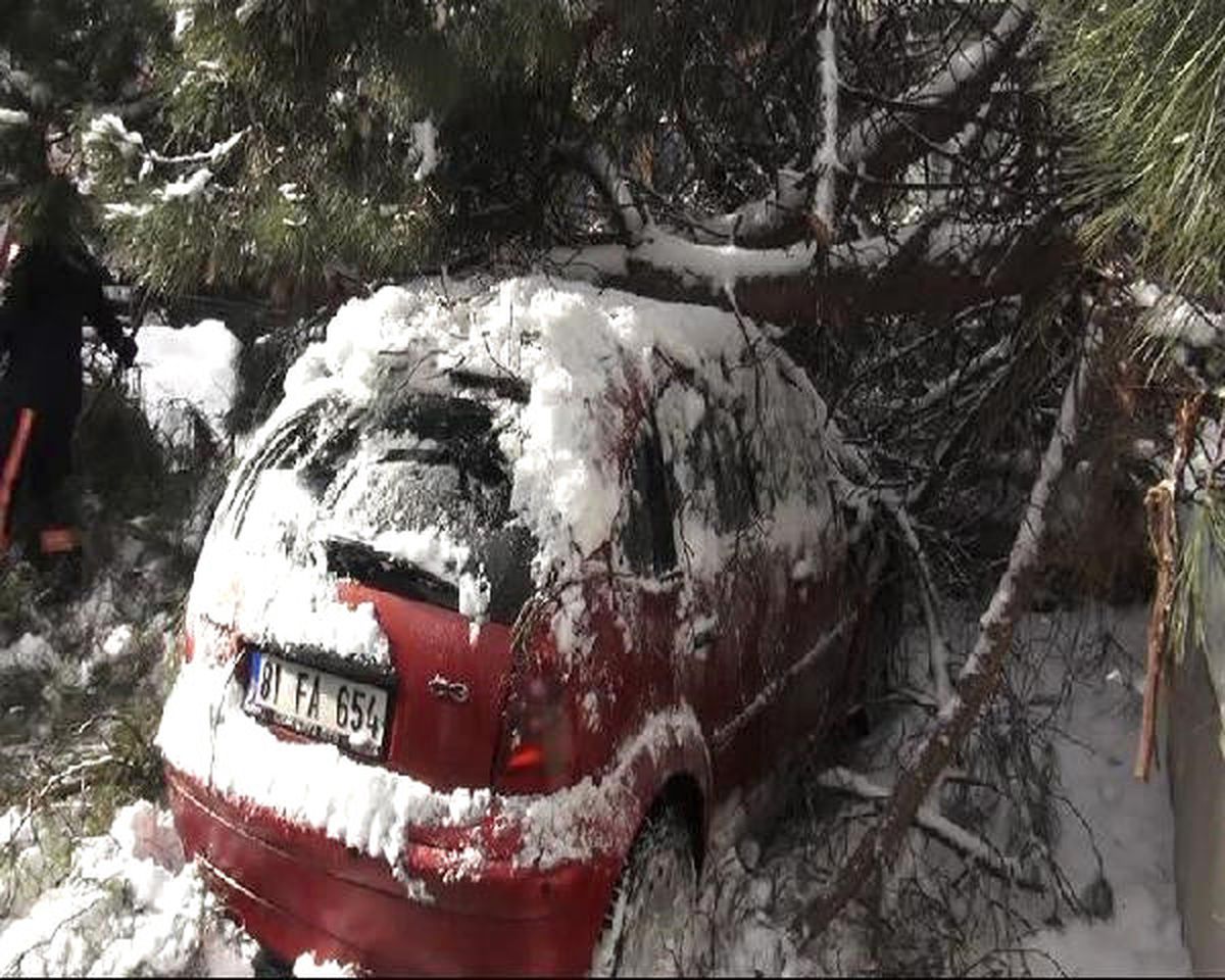 Ağaç Park Halindeki Otomobilin Üstüne Devrildi