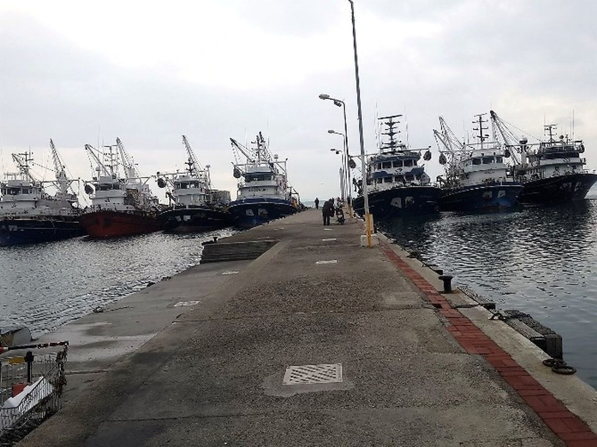 Balıkçı Gemileri Poyraz Nedeniyle Edremit\'e Demirledi.