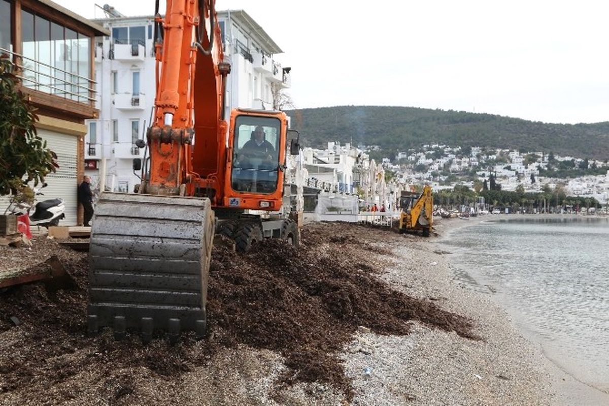 Bodrum\'da Sahiller Temizleniyor