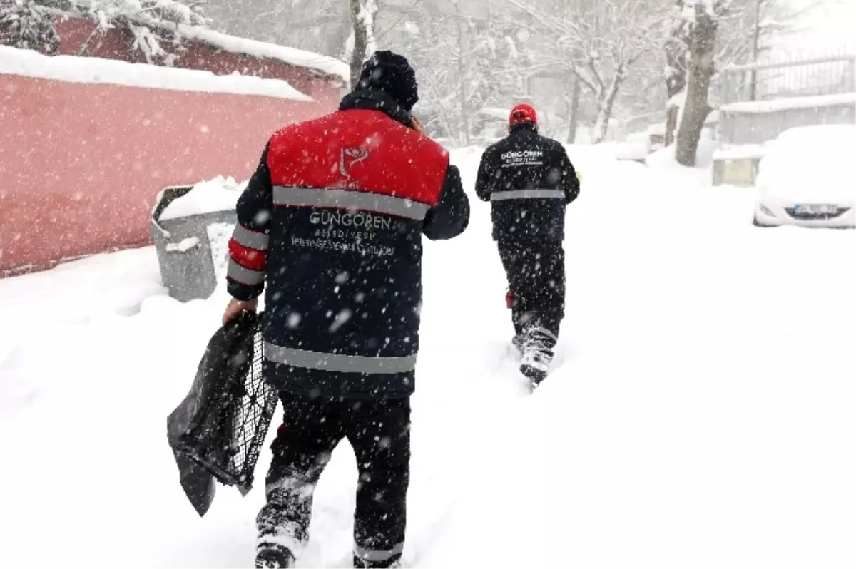 Güngören Belediyesi Sokak Hayvanlarına Sahip Çıktı