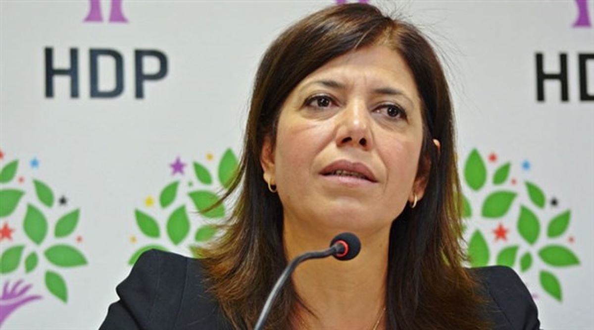 Hdp\'li Beştaş: Bu, \'Varlığım Cumhurbaşkanına Armağan Olsun Anayasası\'