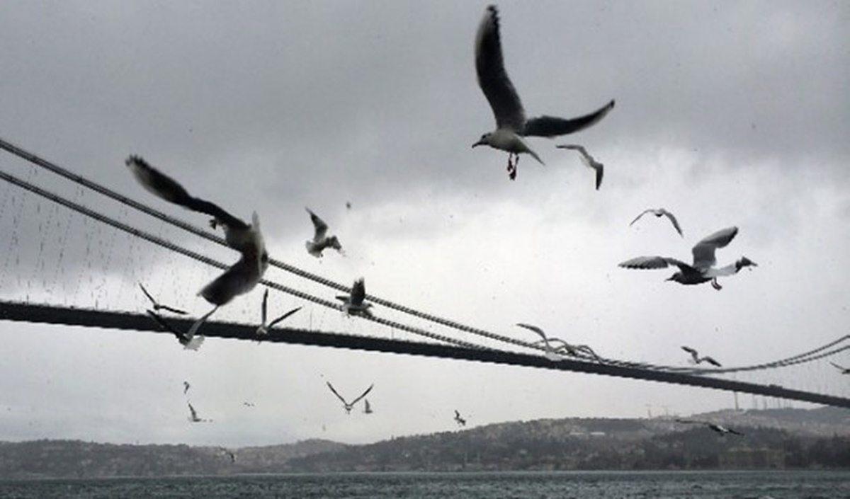 İstanbul Boğazı Tekrar Gemi Geçişlerine Kapatıldı
