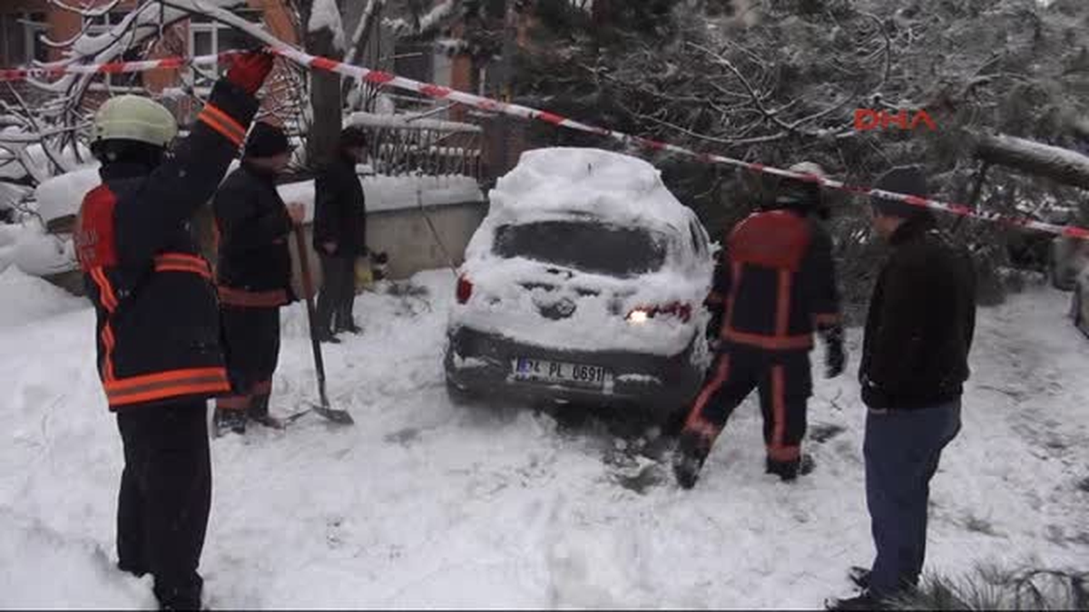 Karın Devirdiği 2 Ağaç Araçlara Hasar Verdi