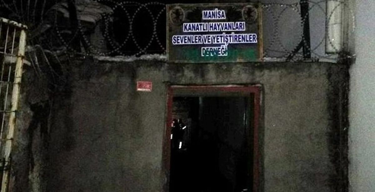 Manisa\'da Horoz Dövüşü Baskını