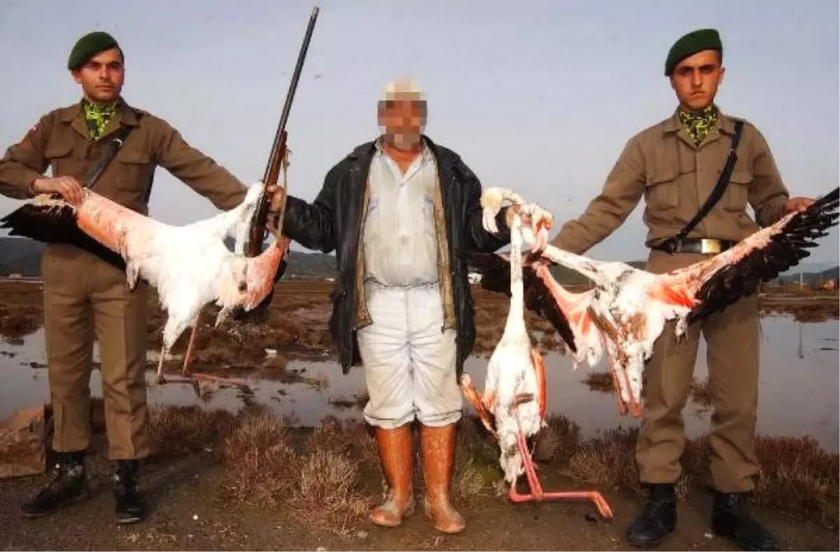 Milas\'taki Kuş Cenneti Sulak Alanda Avcılığa Karşı Eylem